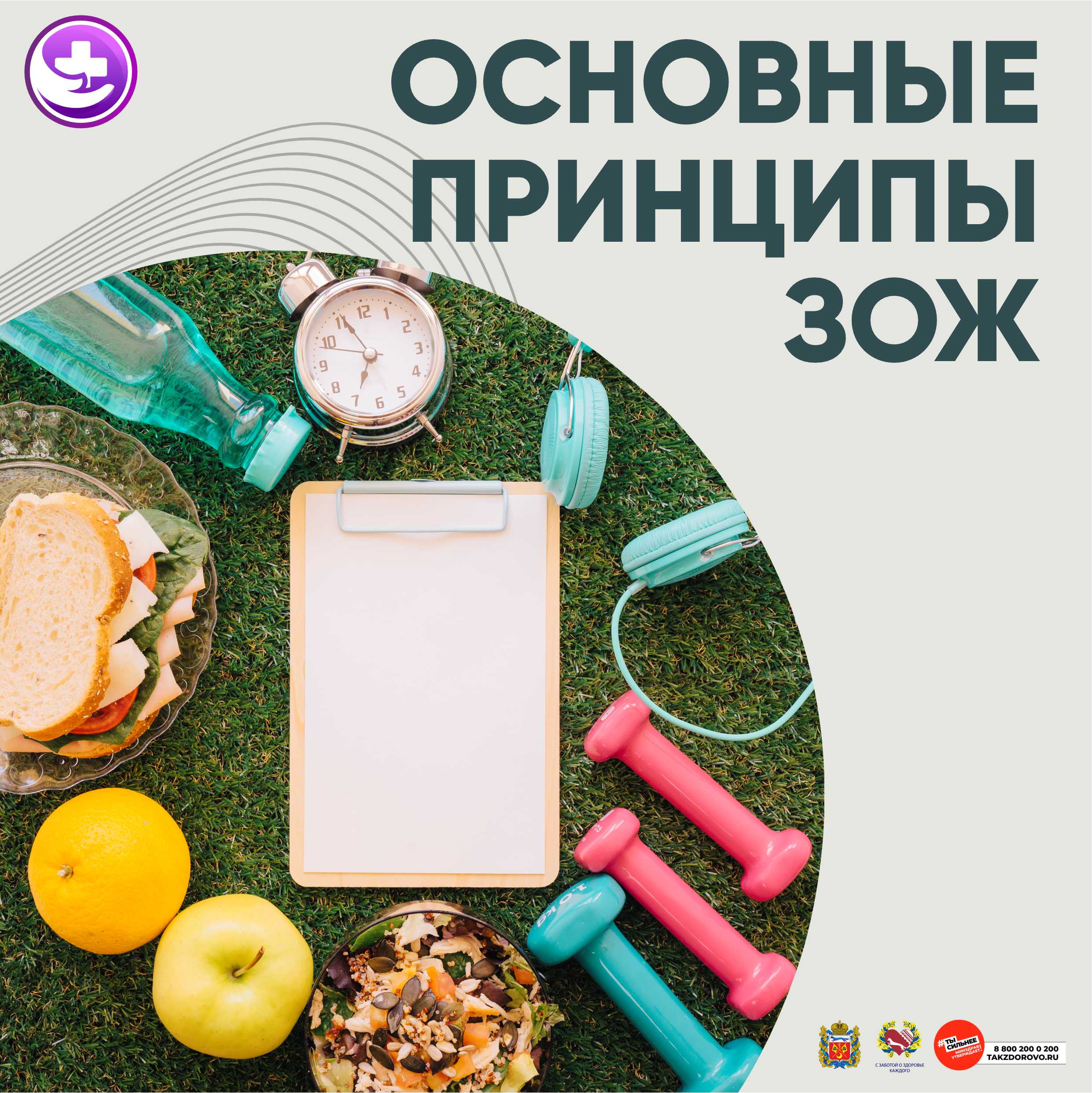 ОСНОВНЫЕ ПРИНЦИПЫ ЗОЖ.